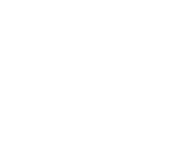 LEAPMOTOR 零跑汽车